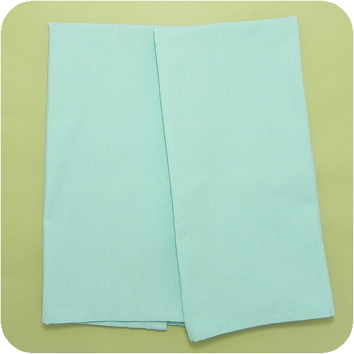 Solid Flat-Weave Kitchen Towel - Pale Aqua