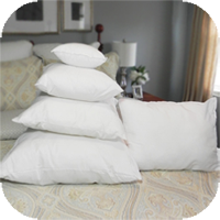 Pillow Form Inserts - Various Sizes